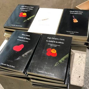 23 ABRIL EN EL DIA DEL LIBRO ENTREGAMOS 100 LIBROS DE POESÍA DONADOS POR LA FUNDACIÓN LOEWE AL PERSONAL SANITARIO ALOJADO EN EL HOTEL OSCAR ROOM MATE